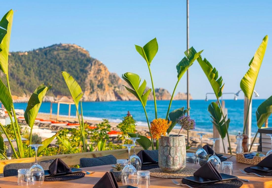 Sa Apartments! 150m To The Daire Alanya